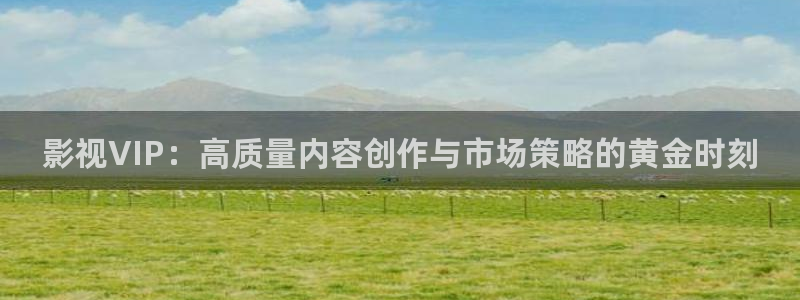 人人视频电视端：影视VIP：高质量内容创作与市场策略的黄金时刻