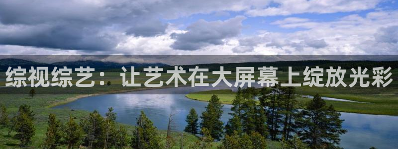 人人tv视频在线观看：综视综艺：让艺术在大屏幕上绽放光彩