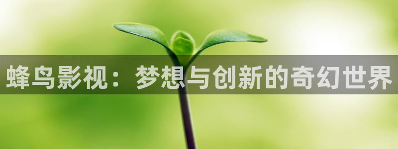 人人超人人超碰超国产：蜂鸟影视：梦想与创新的奇幻世界