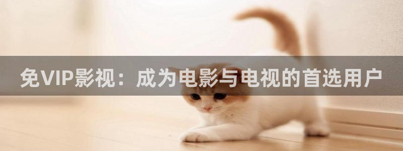 人人影音电脑版：免VIP影视：成为电影与电视的首选用户