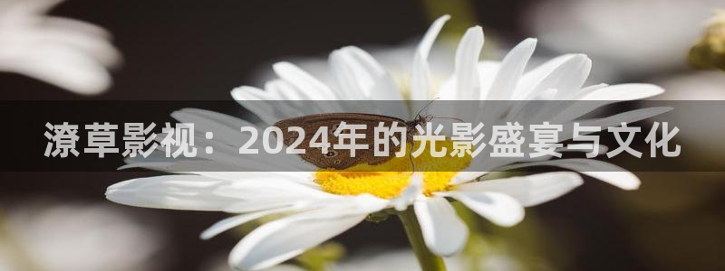 51人人电影：潦草影视：2024年的光影盛宴与文化