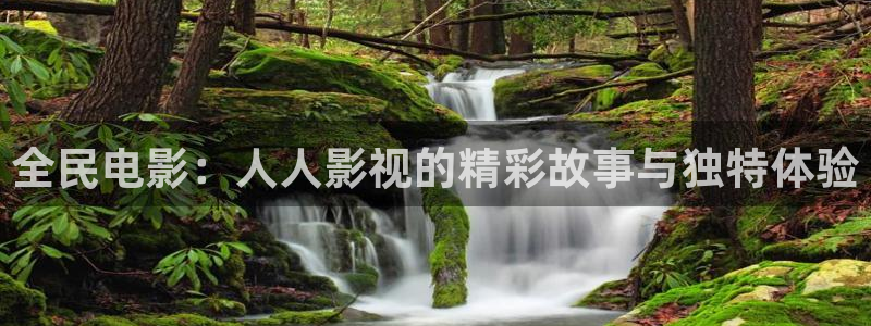 人人影视网：全民电影：人人影视的精彩故事与独特体验