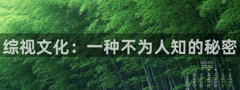人人干人人爽在线视频：综视文化：一种不为人知的秘密