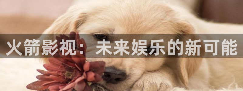 久久人人电影：火箭影视：未来娱乐的新可能